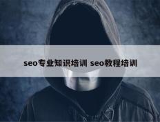 seo专业知识培训 seo教程培训