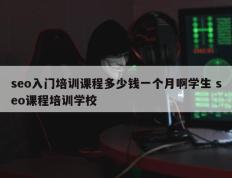 seo入门培训课程多少钱一个月啊学生 seo课程培训学校