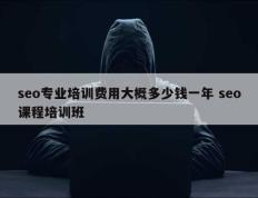 seo专业培训费用大概多少钱一年 seo课程培训班