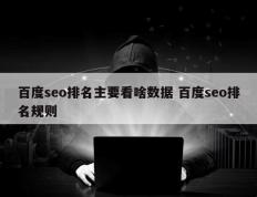 百度seo排名主要看啥数据 百度seo排名规则