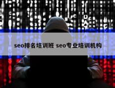 seo排名培训班 seo专业培训机构