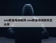 seo职业培训机构 seo职业培训机构怎么样