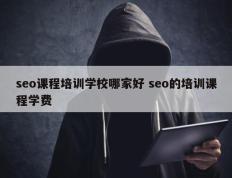 seo课程培训学校哪家好 seo的培训课程学费