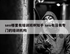 seo哪里有培训班啊知乎 seo有没有专门的培训机构