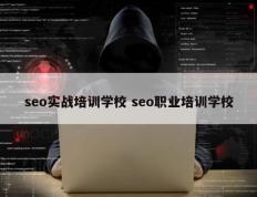 seo实战培训学校 seo职业培训学校