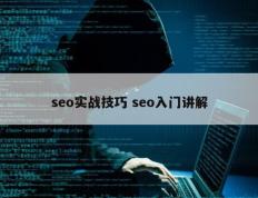 seo实战技巧 seo入门讲解