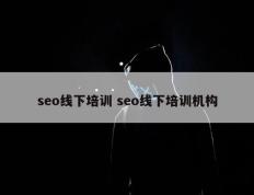 seo线下培训 seo线下培训机构