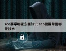 seo要学哪些东西知识 seo需要掌握哪些技术