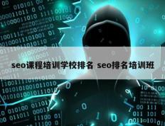 seo课程培训学校排名 seo排名培训班