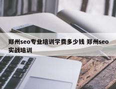 郑州seo专业培训学费多少钱 郑州seo实战培训