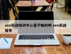 seo实战培训中心是干嘛的啊 seo实战指导