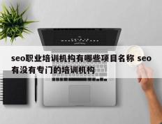 seo职业培训机构有哪些项目名称 seo有没有专门的培训机构