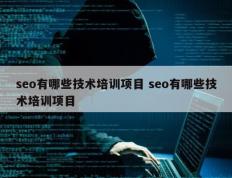 seo有哪些技术培训项目 seo有哪些技术培训项目