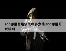 seo哪里有培训班啊多少钱 seo哪里可以培训