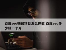 百度seo赚钱项目怎么样做 百度seo多少钱一个月