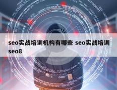 seo实战培训机构有哪些 seo实战培训seo8