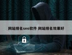 网站排名seo软件 网站排名效果好