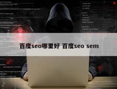 百度seo哪里好 百度seo sem