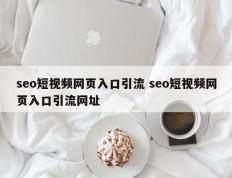 seo短视频网页入口引流 seo短视频网页入口引流网址