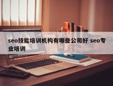 seo技能培训机构有哪些公司好 seo专业培训