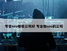 专业seo哪些公司好 专业做seo的公司