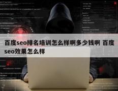 百度seo排名培训怎么样啊多少钱啊 百度seo效果怎么样