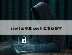 seo什么专业 seo什么专业会学