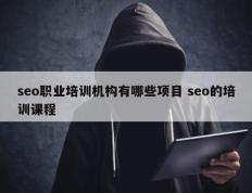 seo职业培训机构有哪些项目 seo的培训课程