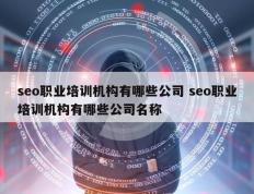 seo职业培训机构有哪些公司 seo职业培训机构有哪些公司名称