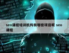 seo课程培训机构有哪些项目呢 seo 课程