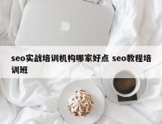 seo实战培训机构哪家好点 seo教程培训班