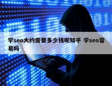 学seo大约需要多少钱呢知乎 学seo容易吗