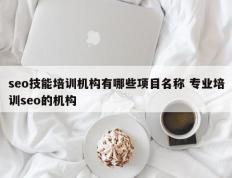 seo技能培训机构有哪些项目名称 专业培训seo的机构