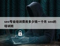 seo专业培训费用多少钱一个月 seo的培训班