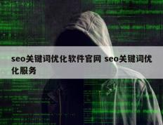 seo关键词优化软件官网 seo关键词优化服务