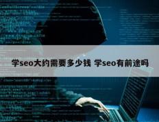 学seo大约需要多少钱 学seo有前途吗