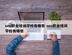 seo职业培训学校有哪些 seo职业培训学校有哪些