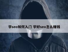 学seo如何入门 学好seo怎么赚钱