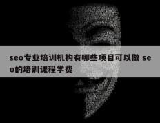 seo专业培训机构有哪些项目可以做 seo的培训课程学费