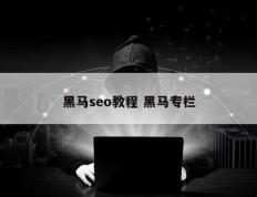 黑马seo教程 黑马专栏