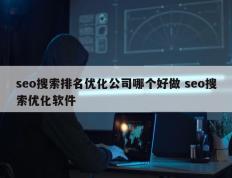 seo搜索排名优化公司哪个好做 seo搜索优化软件