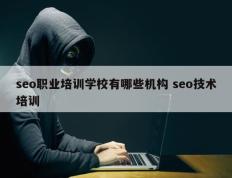 seo职业培训学校有哪些机构 seo技术培训