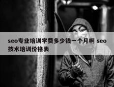 seo专业培训学费多少钱一个月啊 seo技术培训价格表