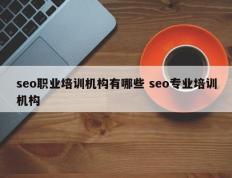 seo职业培训机构有哪些 seo专业培训机构