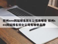 郑州seo网站排名优化公司有哪些 郑州seo网站排名优化公司有哪些品牌