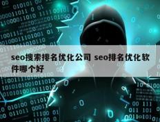 seo搜索排名优化公司 seo排名优化软件哪个好