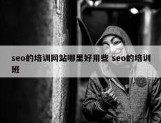 seo的培训网站哪里好用些 seo的培训班