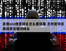 百度seo搜索排名怎么看结果 怎样查询百度搜索关键词排名