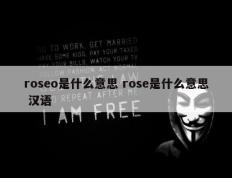 roseo是什么意思 rose是什么意思 汉语