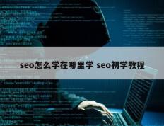 seo怎么学在哪里学 seo初学教程